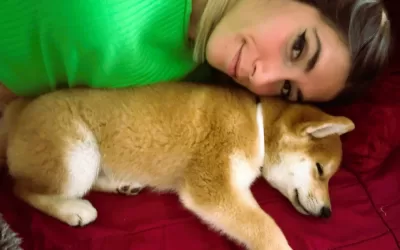 Shiba Inu adozione: un gesto d’amore che ti cambia la vita!